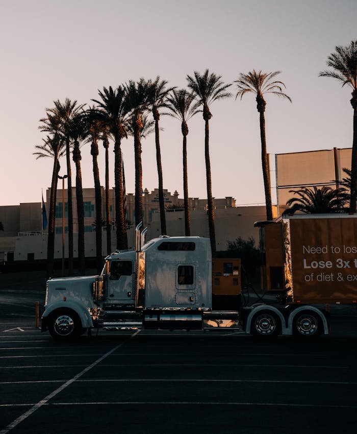 Truck Vehicle near Palm Trees on Sunset